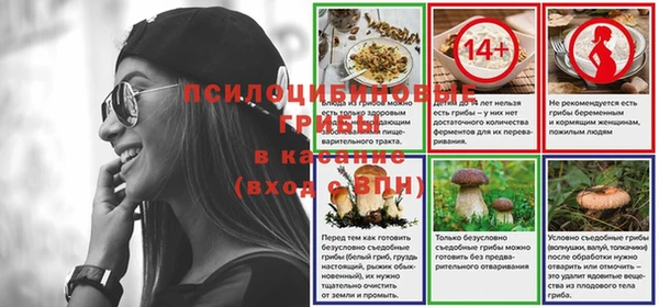 винт Армянск